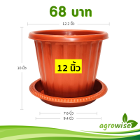 ราคา กระถาง กระถางต้นไม้ มินิมอล โรมัน จาน ขนาด 12 นิ้ว สีดำ สีขาว สีเทา สีอิฐ (22686750449)