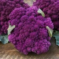 ราคา 100 เมล็ด กะหล่ำดอก กะหล่ำต้น ผักกาดดอก ผักท้ายครัว Cauliflower Seeds (21729768806)