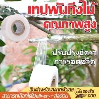 ราคา เทปพันกิ่งไม้ 120m เทปพันกิ่งทาบ แลปพลาสติก อุปกรณ์ตอนกิ่ง เทปพันกิ่งเสียบยอด ผ้าเทปพันกิ่ง (22603050111)