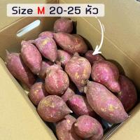 ราคา ถูกที่สุด ยกลัง5 กิโลกรัม มันหวานญี่ปุ่นสายพันธุ์ Okinawa ปลูกไทย เนื้อเหลือง หอมหวาน อร่อย สินค้าเคลมได้ (22706300837)