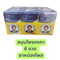 ราคา exp ยาว 6 ขวด ยาหม่องไพล ตราหมอเอี้ยง วัดไร่ขิง 50 กรัม 3 ขวด สมุนไพรคงคา ยาหม่องวัดไร่ขิง ยาหม่องหมอเอี้ยง ยาหม่องตราหมอเอี้ยง (19585301508)