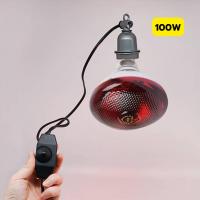 ราคา หลอดไฟอินฟาเรด หลอดไฟกกลูกไก่ กกลูกหมู กกสัตว์ กกนก 100W 150W 175W 200 250W ให้ความอบอุ่นสัตว์เล็ก (22566625040)