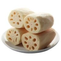 ราคา สดจากฟาร์ม รากบัวสด 1kg พร้อมส่ง สดใหม่ทุกวัน นำเข้าเองไม่ผ่านคนกลาง ราคาส่ง ราคาถูก (21030987239)