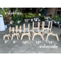 ราคา ขาตั้ง ขาตั้งกระถาง ขาตั้งไม้ ขาตั้งไม้กระถาง (16501585236)