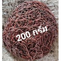 ราคา ไส้เดือน AF บรรจุ 200 กรัม (22843468398)