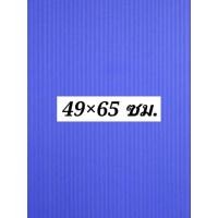 ราคา 5แผ่น 3mm ฟิวเจอร์บอร์ด 49 65 65 81 65 122 ซม Future Board แผ่นพลาสติก ลูกฟูก (21592438937)