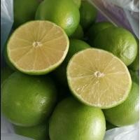 ราคา มะนาวไร้เมล็ด ทูลเกล้า น้ำเยอะ 1 kg (22715906113)