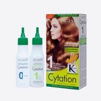 ราคา น้ำยาดัดผม ดีแคช โปรเฟสชั่นนอล ไซเทชั่น เบอร์1 2 ทุกสูตร100 มล (14740085573)