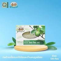 ราคา อภัยภูเบศร สบู่ใบฝรั่งบำรุงผิว 100 กรัม (21511338912)