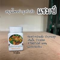 ราคา สมุนไพรบำรุงกำลังไก่ชน แชมป์ สร้างกล้ามเนื้อบำรุงกระดูกให้มีกำลังดี (21258773653)