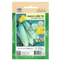 ราคา เมล็ดพันธุ์ แตงกวา มาลัย 759 ตราเจียไต๋ บรรจุ 2 กรัม 70 เมล็ด (1018470428)