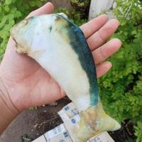 ราคา พวงกุญแจปลา พวง ปลาแฟชั่นเก๋ๆน่ารักๆ (22347073842)