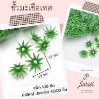 ราคา ขั้วดอกไม้พลาสติก ก้นดอกไม้ ขั้วชบา ขั้วมะเขือเทศ ขั้วสตอเบอรี่ ขั้วกุหลาบ ขั้วมะเขือ ก้นกุหลาบ พับเหรียญ (19528351150)
