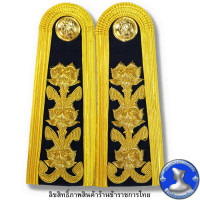 ราคา อินทรธนูการประปาส่วนภูมิภาค อินทรธนูสำหรับเครื่องแบบพิธีการ ชุดขาว (17345323970)