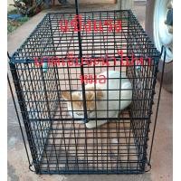 ราคา กรงดักแมว กรงดักสุนัขพันธุ์เล็ก กรงดักสัตว์อเนกประสงค์ กรงเคลื่อนย้ายสัตว์ กว้าง 32 เชน ยาว 50 เชน สูง 36 เชน กรงนี้จะช่วยดักสัตว์เพื่อนำไปรักษาได้หรือนำไปปล่อยในที่ๆควรอยู่ได้ใช้งานไดีผลดี (212708609