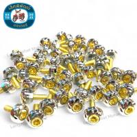 ราคา น็อตซาลาเปากัดลาย เบอร์ 10 หัวหกเหลี่ยม น็อตทอง น็อตซาลาเปา อะไหล่มอไซด์ อุปกรณ์ตกแต่ง น็อตชุดสี มีหลายสีให้เลือก (22252877026)