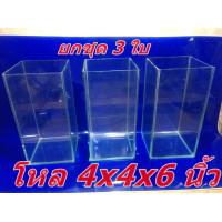 ราคา ยกเซท 3 ใบ โหลปลากัด ขนาด4x4x6 นิ้ว กระจก3มม กว้าง ยาว สูง (8259469657)