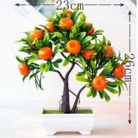 ราคา 26cm กระถางต้นส้มปลอม มงคลการเงิน ส้มมงคล (22491808689)