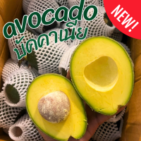 ราคา KAIDEE Avocado อโวคาโด 1กิโลกรัม พันธุ์บัคคาเนีย อโวคาโด้ อโวคาโด อะโวคาโดสด อโวคาโด อาโวคาโดสดอโวคาโดสดจากสวนบนดอย เก็บจากสวนทุกวันเน่าเสียรับเคลม อโวคาโด้ อโวคาโด อาโวคาโดสด (22602210047)