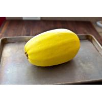 ราคา ฟักทองสปาเก็ตตี้ Spaghetti Squash บรรจุ 5 เมล็ด (21460549929)