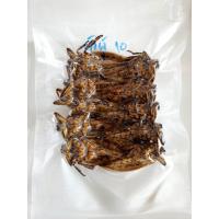 ราคา แมงดานาธรรมชาติแท้ แมงดาคั่วสุก แมงดาตัวผู้ แมงดาตัวเมีย ไว้มำน้ำพริกแมงดา แมงดาทอด (22198974420)