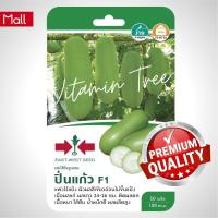 ราคา เมล็ดพันธุ์ แฟง ปิ่นแก้ว 50เมล็ด ตราศรแดง (19262084778)