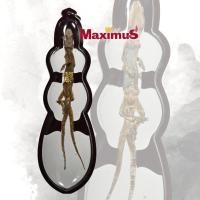 ราคา จิ้งจก 2 หาง ปิดทอง ของคลังเมตตา โชคลาภค้าขาย ดี เลี่ยมกรอบพลาสติกกันน้ำ (2292228408)