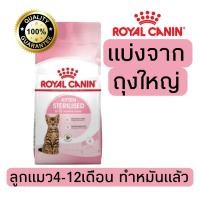 ราคา แบ่งขาย อาหารแมว Royal canin Kitten sterilised ลูกแมวทำหมันอายุไม่เกิน1ปี 500g 800g 1kg อาหารแมวรอยัลคานินแบบแบ่งขาย (21638233188)
