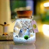 ราคา Pet BHQ มาริโมะ เซ็ตมาริโมะโหลกลม ชุดพร้อมเลี้ยงมาริโมะ marimo มอสบอล ชุดพร้อมเลี้ยงมาริโมะแท้ (22185268594)