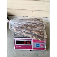 ราคา กิมสั่วไม่งา ปลาข้างเหลืองไม่งา ปลาหวาน (20584368230)