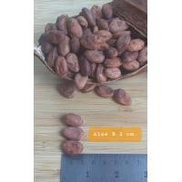 ราคา เมล็ดโกโก้ดิบแห้ง Raw dried cacao beans (17493286518)