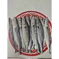 ราคา ปลาอินทรีย์เค็มหอม ยก1ตัว ราคา ตัวละ29บาท ซื้อ5แถม1ตัว ราคาถูกมาก อร่อยหอมเค็มน้อย (22459551415)