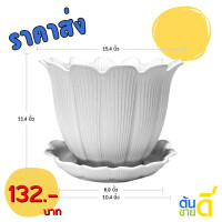 ราคา กระถาง กระถางต้นไม้ มินิมอล ดอกไม้ บิวตี้ จาน ขนาด 15 นิ้ว สีดำ สีขาว สีเทา สีอิฐ สีโอ๊ค (22881940447)