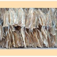 ราคา ปลาช่อนทะเลแห้ง ปลาจิ๊กโก๋ ปลาไล้กอ เกรดA ไซกลาง (21582734349)