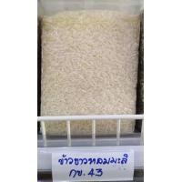 ราคา ข้าวเพื่อสุขภาพน้ำตาลต่ำ ข้าวสี่ชนิด ไรซ์เบอร์รี่ หอมมะลิแดง กล้อง กข 43 กล้องมะลิน้ำนม 1 กก (22351331748)