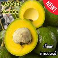 ราคา KAIDEE ยกล่อง3KG Avacado อโวคาโด อโวคาโด้ อะโวคาโด อะโวคาโด้ อาโวคาโด อาโวคาโด้ อโวคาโดสดจากสวนบนดอย เก็บจากสวนทุกวันเน่าเสียรับเคลม อโวคาโด้ อโวคาโด้ อโวคาโด อะโวคาโดสด (22602170062)