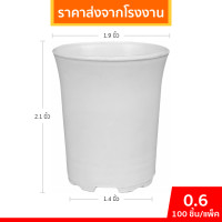 ราคา กระถาง กระถางต้นไม้ ทรงกลม 2 5 3 4 5 นิ้ว สีดำ 50 100 ใบ (22714938080)