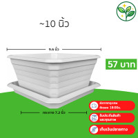ราคา กระถาง กระถางบอนไซ กระถางสี่เหลี่ยม จาน ขนาด 10 นิ้วเตี้ย สีดำ สีขาว สีเทา Bundle 5 ใบ (22716811467)