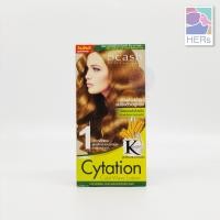 ราคา Dcash Cytation Cold Wave Lotion น้ำยาดัดผมสูตรเคราติน ดีแคช ไซเทชั่น โคล เวฟ โลชั่น มี 2 สูตร 100 ml x 2 (8871282790)