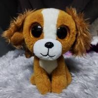 ราคา ST 04 ตุ๊กตา ty ตาโต ขนาด 6 นิ้ว หมา สุนัข Dog ของเล่น ของสะสม แต่งบ้าน แต่งร้าน (10793607822)