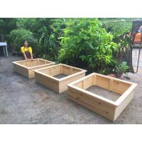 ราคา กระบะปลูกผัก กระบะปลูกสมุนไพร กระบะปลูกผัก ที่ปลูกผัก (22855221851)