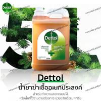 ราคา พร้อมส่ง Dettol ไฮยีน มัลติ ยูส น้ำยาฆ่าเชื้อแบคทีเรียและโรคอเนกประสงค์ ฉลากไทย 5000มล (22917799670)