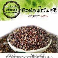 ราคา ข้าวท่อนไรซ์เบอรี่ จมูกข้าวไรซ์เบอรี่ ออแกนิค 10 kg Organic Rice breaking Riceberry อินทรีย์ ออแกนิค จมูกข้าว USDA Organic เบาหวาน น้ำตาลน้อย สุขภาพ ส่งฟรี ข้าวกล้อง ข้าวราคาถูก ข้าวสาร ข้าวชาวนา ข้าว