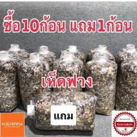 ราคา เชื้อเห็ดฟาง10ก้อน แถมฟรี1ก้อน ฟรีคู่มือการเพาะ เห็ดออกทันทีภายใน 5วัน (1040466209)