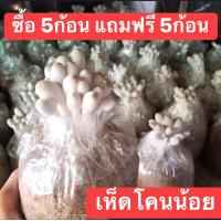 ราคา เห็ดโคนน้อย 5ก้อน แถมฟรี5ก้อน (14532066518)