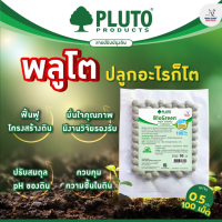 ราคา พลูโตไบโอกรีน สารปรับปรุงดิน ขนาด 0 5 กรัม 100 เม็ด (22886395394)