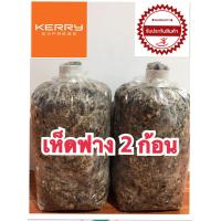 ราคา เชื้อเห็ดฟาง 2 ก้อน แถมฟรีคู่มือการเพาะ เห็ดออกดอกทันทีภายใน 5วัน (996704520)
