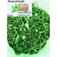 ราคา ฟ้าทะลายโจรแห้ง 50 กรัม (18133049328)