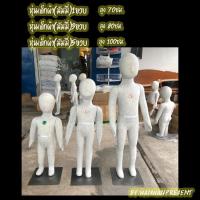 ราคา หุ่นโชว์เสื้อผ้าเด็กรุ่นเต็มตัวหุ้มผ้า 1ขวบ3ขวบ5ขวบ wanwanpresent (720646380)