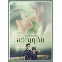 ราคา DVD ละครไทย เรื่อง ขวัญฤทัย 4แผ่นจบ (21911275008)